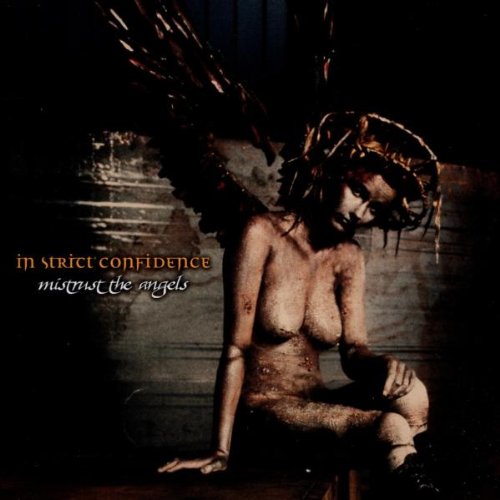 In Strict Confidence - When The Heart Starts To Bleed